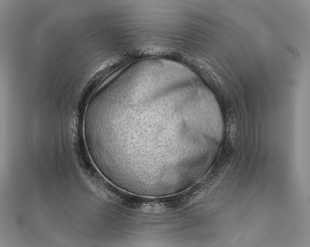 X0000111790591200908061138