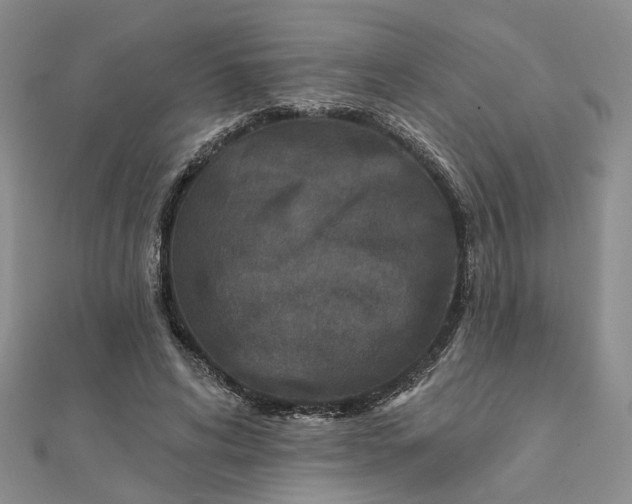 X0000111790592200908061138