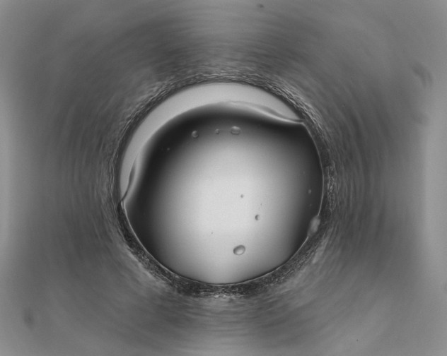 X0000111790593200908061138