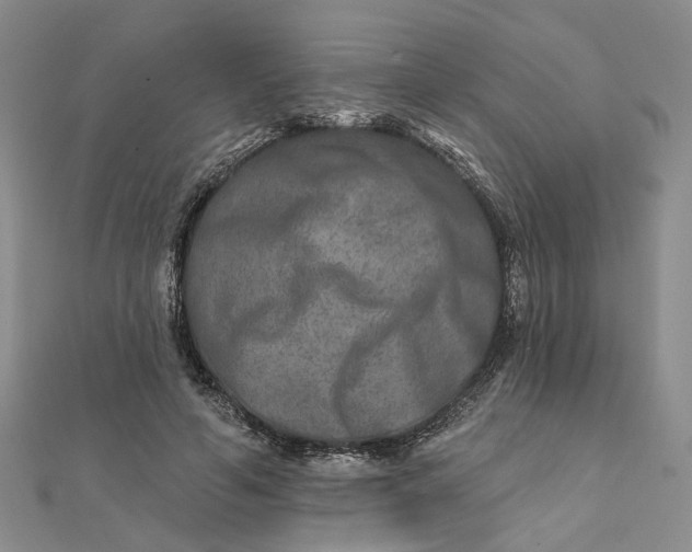 X0000111790594200908061138