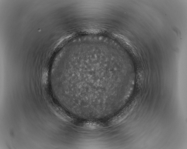 X0000111790596200908061138