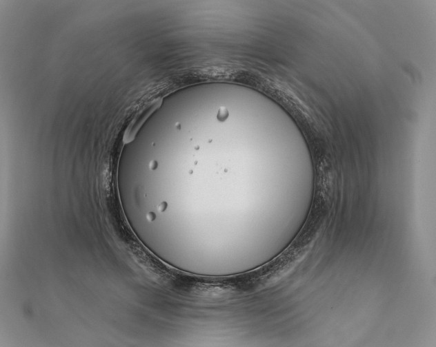 X0000111790597200908061138