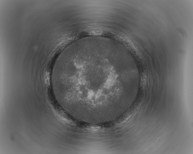 X0000111790598200908061138