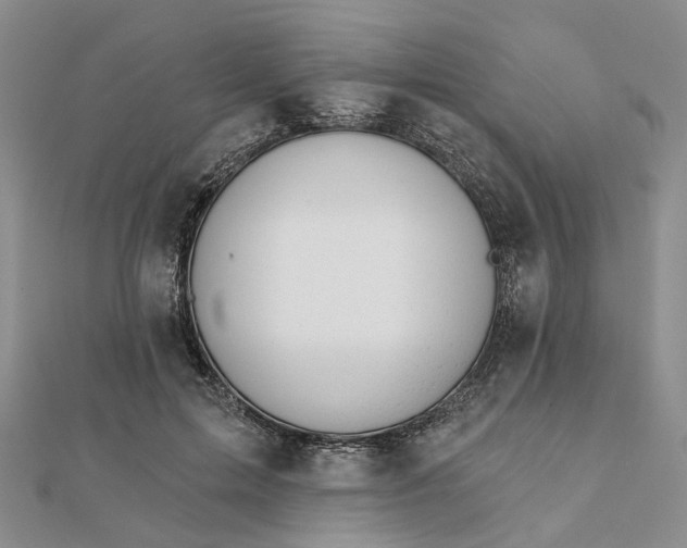 X0000111790599200908061138