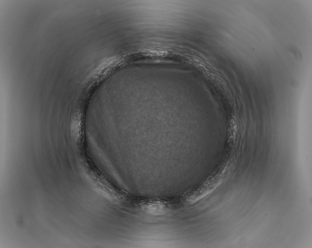 X0000111790600200908061138