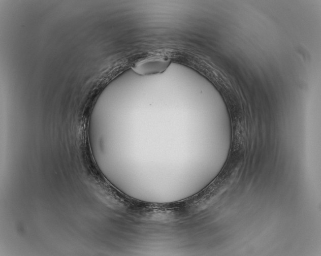 X0000111790601200908061138