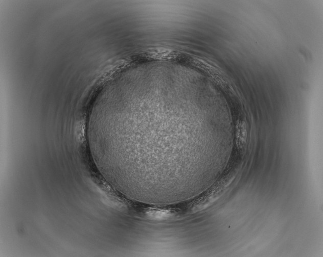 X0000111790602200908061138