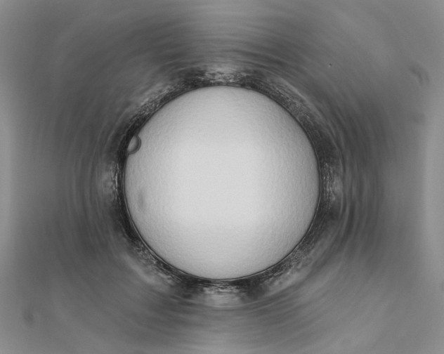 X0000111790603200908061138