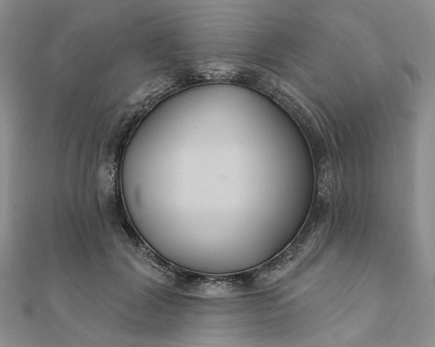 X0000111790604200908061138