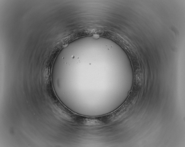 X0000111790605200908061138