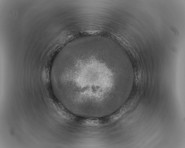 X0000111790606200908061138