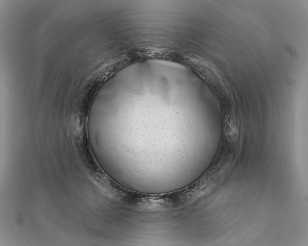 X0000111790607200908061138