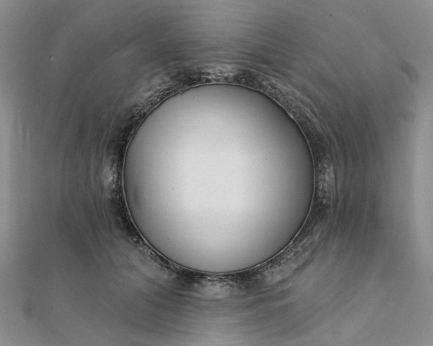 X0000111790608200908061138