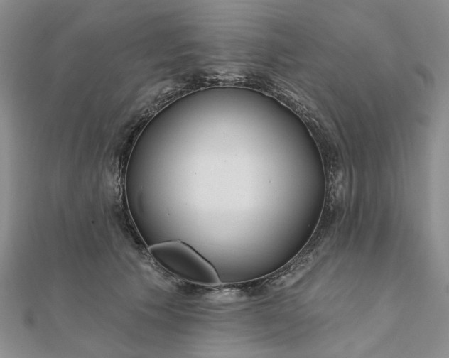 X0000111790609200908061138