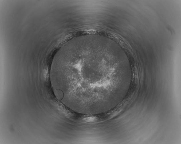 X0000111790610200908061138