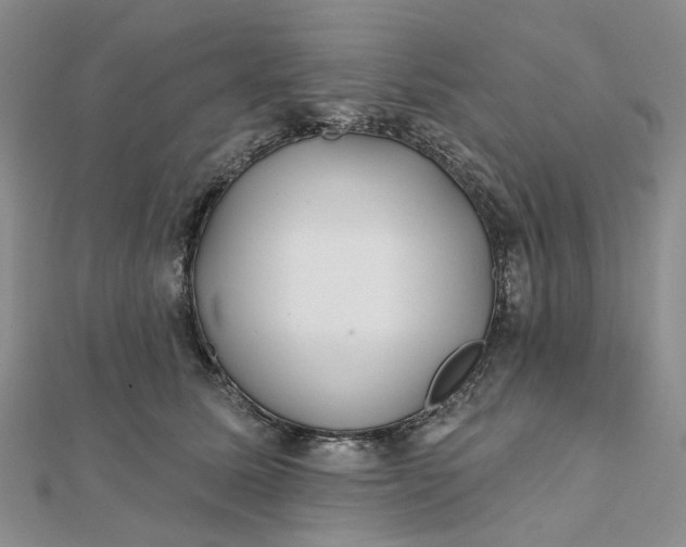 X0000111790611200908061138