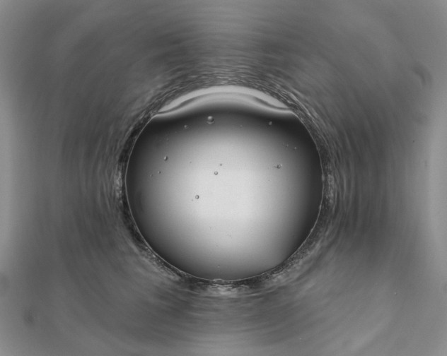 X0000111790613200908061138