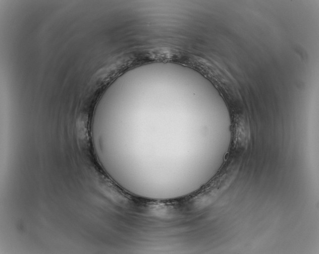 X0000111790616200908061138