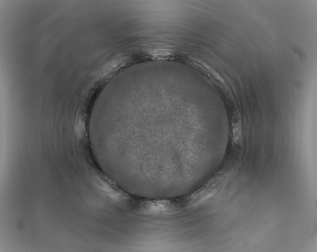 X0000111790618200908061138