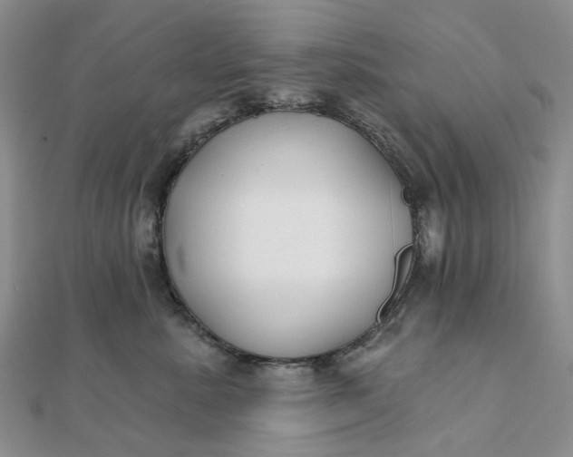 X0000111790619200908061138