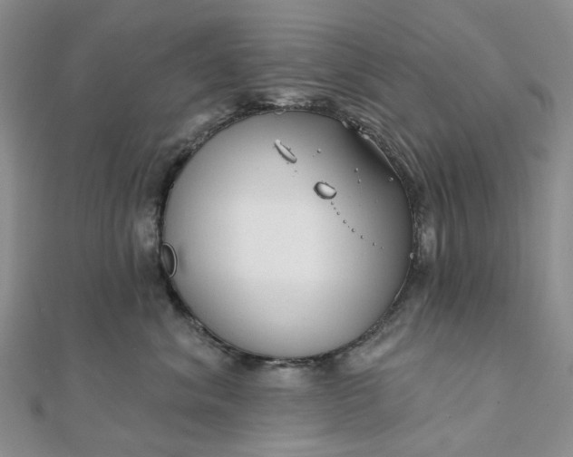 X0000111790620200908061138