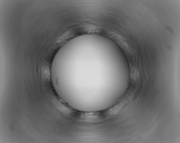 X0000111790622200908061137