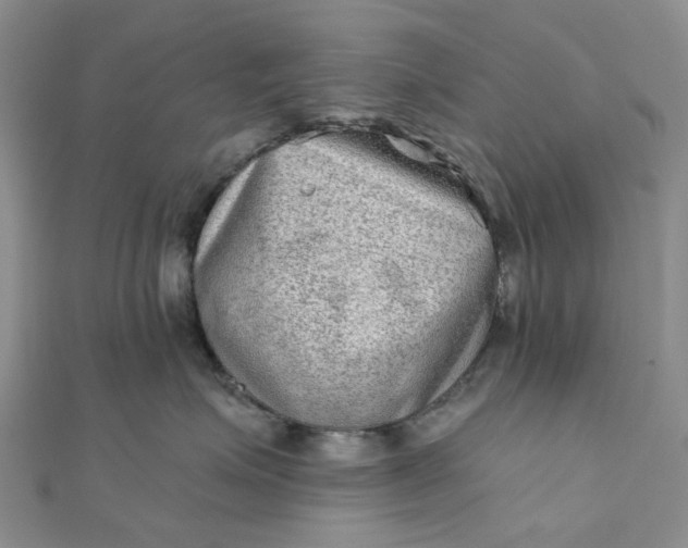 X0000111790623200908061137