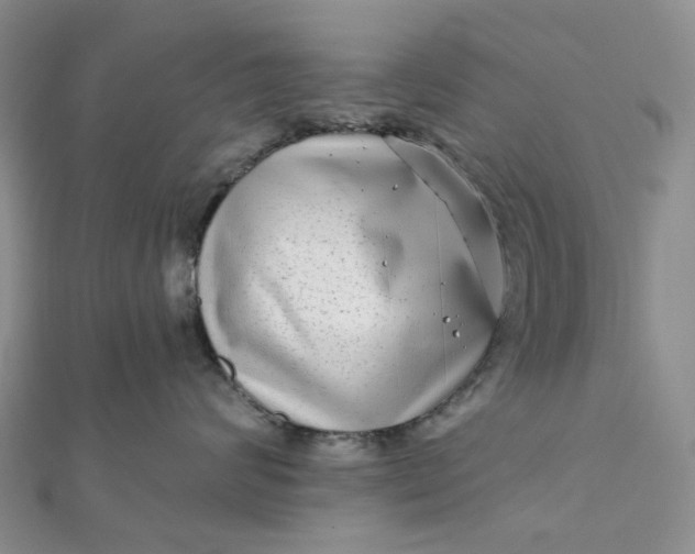 X0000111790624200908061137