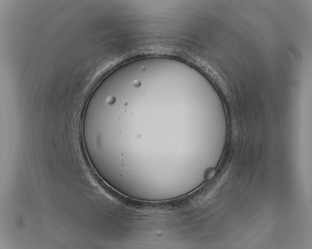 X0000111790625200908061137