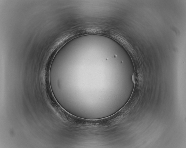 X0000111790626200908061137