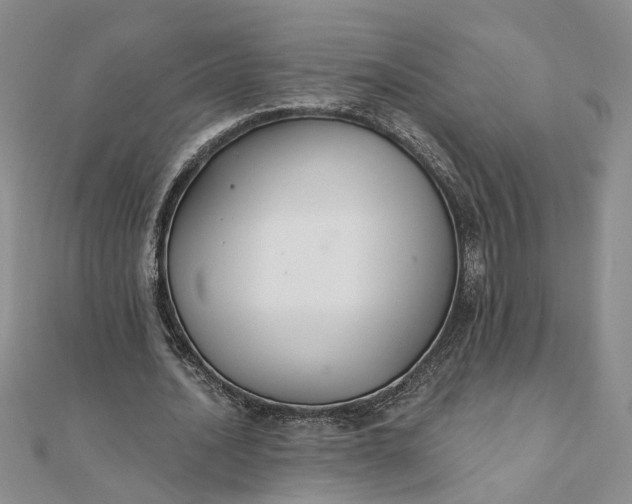 X0000111790628200908061137