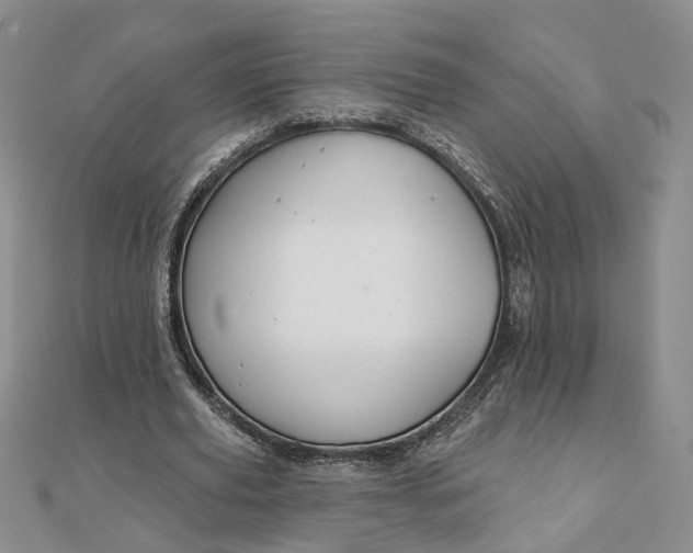 X0000111790629200908061137