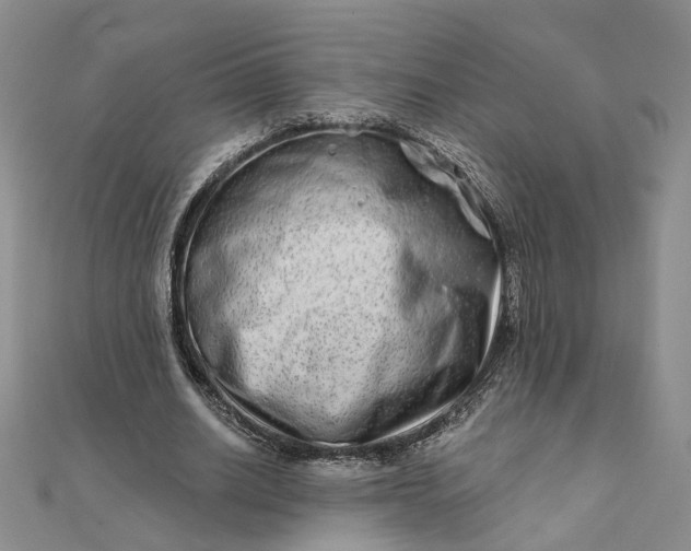 X0000111790630200908061137