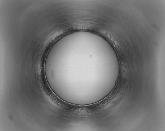 X0000111790631200908061137