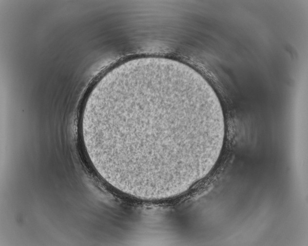 X0000111790632200908061137