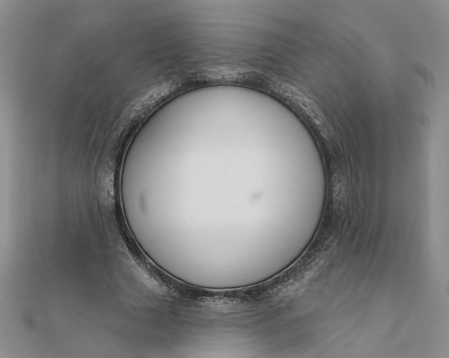 X0000111790633200908061137