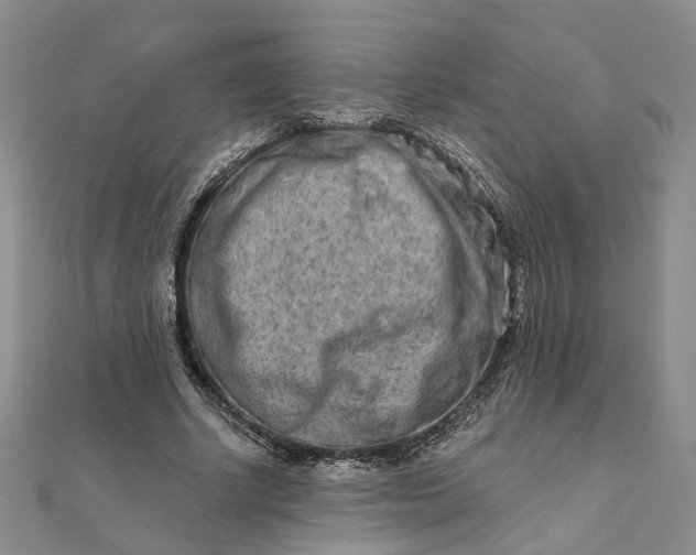 X0000111790634200908061137