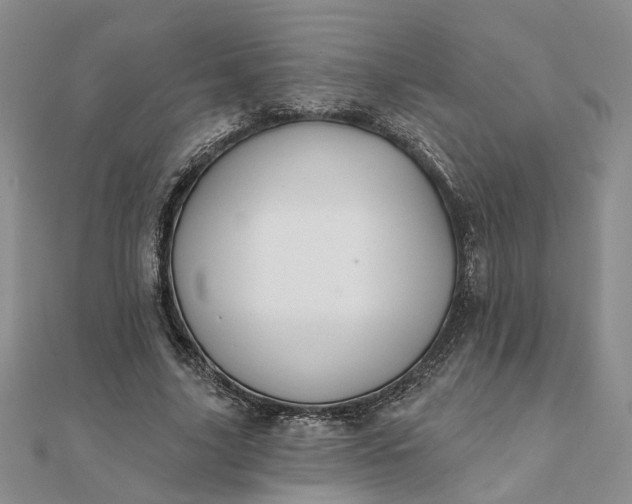 X0000111790635200908061137