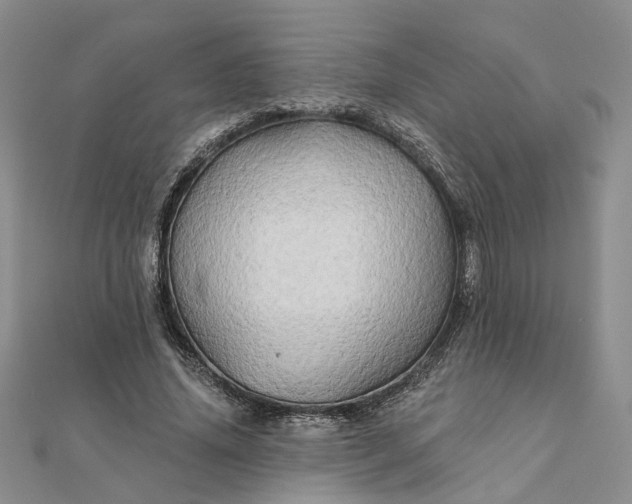 X0000111790636200908061137