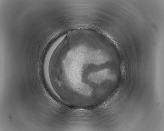 X0000111790637200908061137