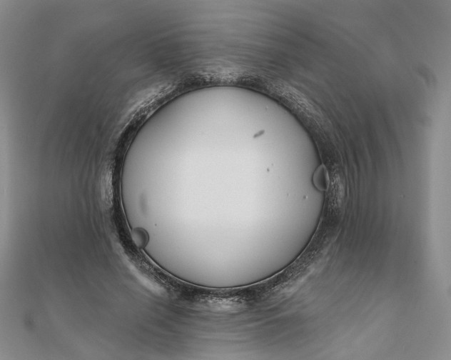 X0000111790638200908061137