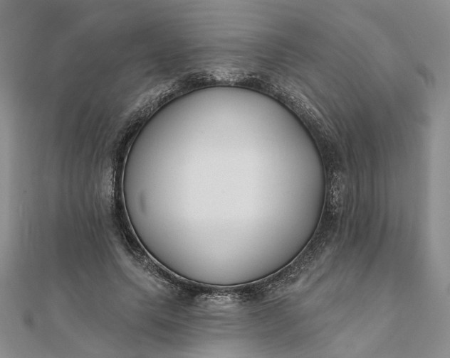 X0000111790639200908061137