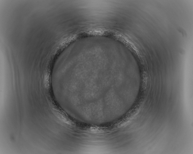 X0000111790641200908061137