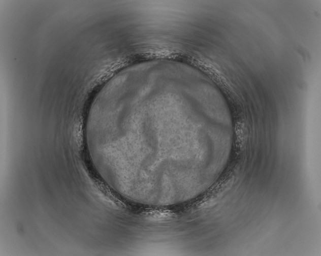 X0000111790642200908061137