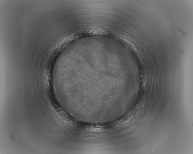 X0000111790643200908061137