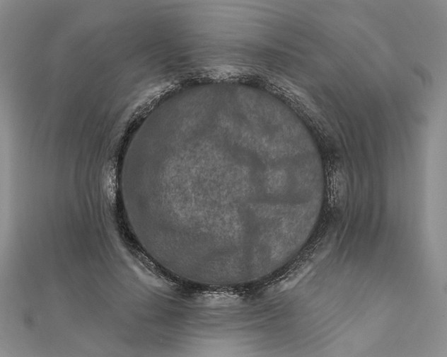 X0000111790644200908061137