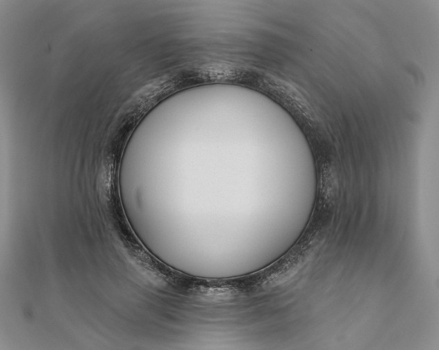 X0000111790645200908061137