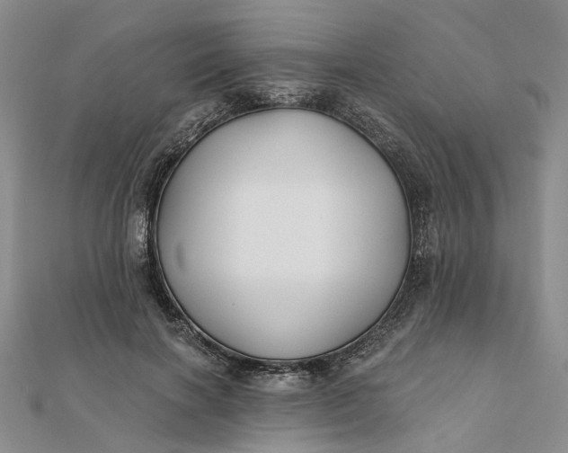 X0000111790646200908061137