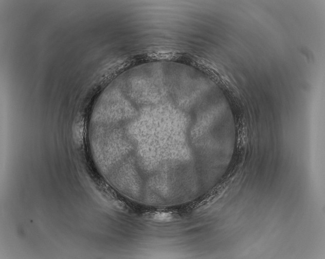 X0000111790647200908061137