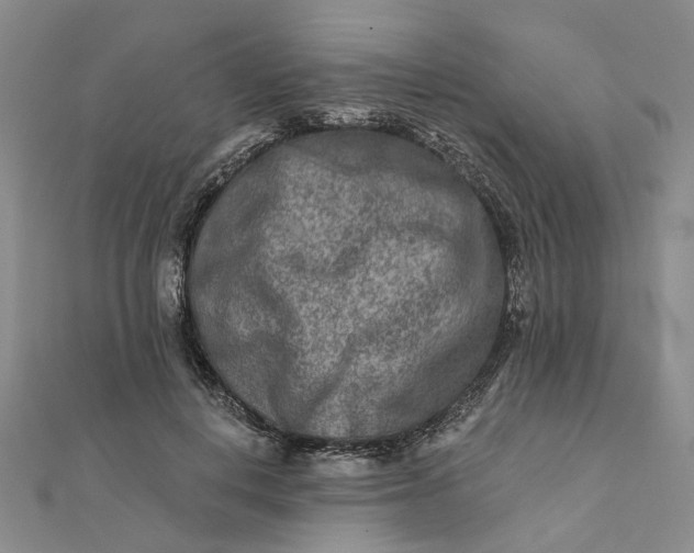 X0000111790648200908061137